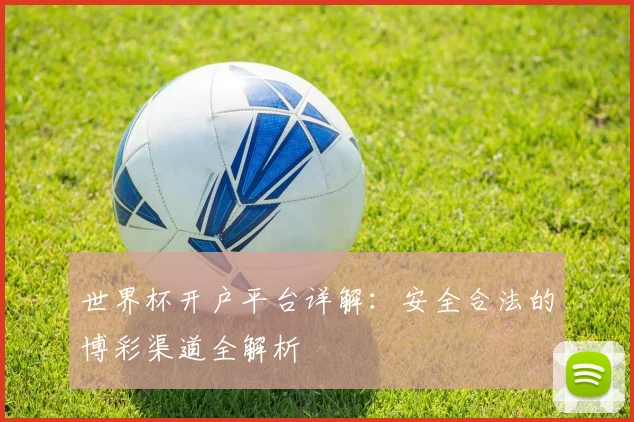 世界杯开户平台详解：安全合法的博彩渠道全解析