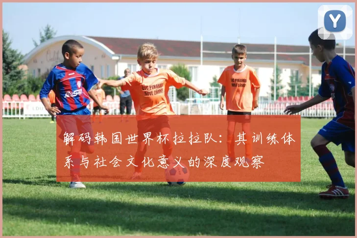 解码韩国世界杯拉拉队：其训练体系与社会文化意义的深度观察