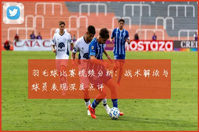 羽毛球比赛视频分析：战术解读与球员表现深度点评