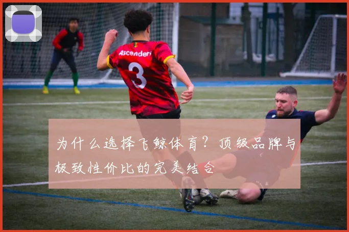 为什么选择飞鲸体育？顶级品牌与极致性价比的完美结合