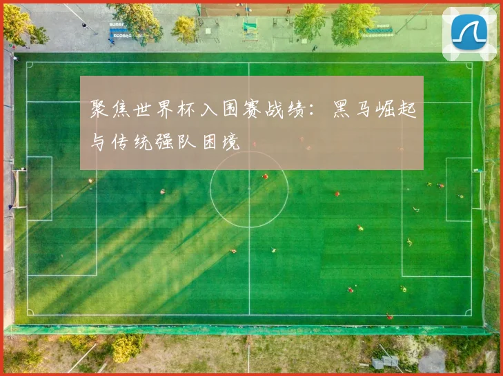 聚焦世界杯入围赛战绩：黑马崛起与传统强队困境