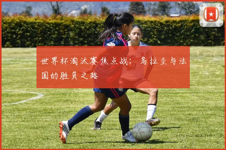 世界杯淘汰赛焦点战：乌拉圭与法国的胜负之路