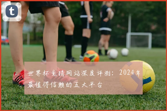 世界杯竞猜网站深度评测：2024年最值得信赖的五大平台