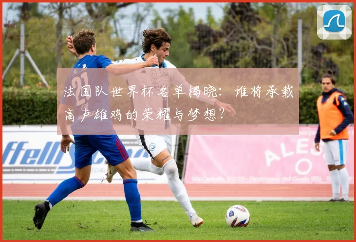 法国队世界杯名单揭晓:谁将承载高卢雄鸡的荣耀与梦想?