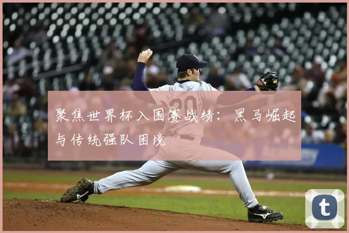 聚焦世界杯入围赛战绩:黑马崛起与传统强队困境