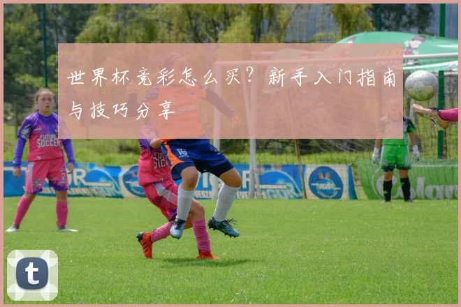 世界杯竞彩怎么买？新手入门指南与技巧分享