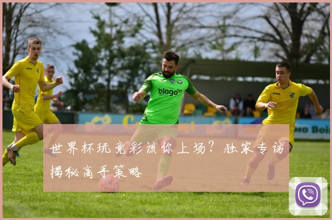 世界杯玩竞彩该你上场？独家专访揭秘高手策略